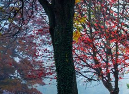 粉象生活怎么赚积分