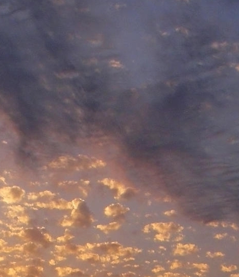 粉象生活的利器