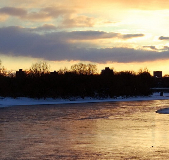 粉象生活怎么赚钱
