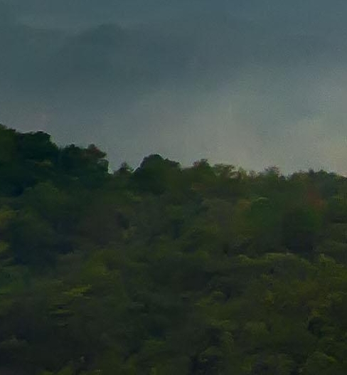 粉象生活丨粉象生活邀请码