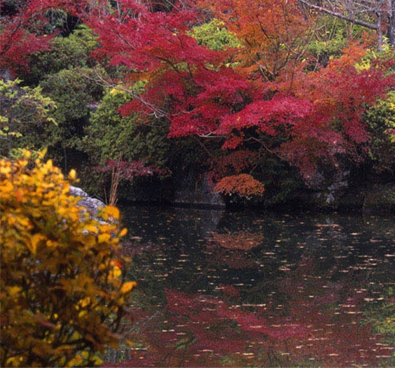 肇庆粉象生活图片