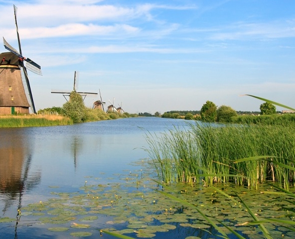 粉象生活发货一般多久