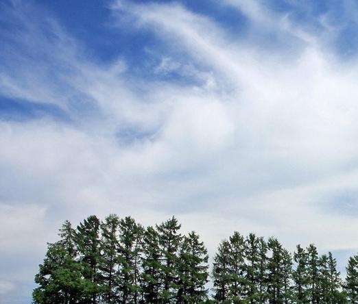 粉象生活能赚到钱吗