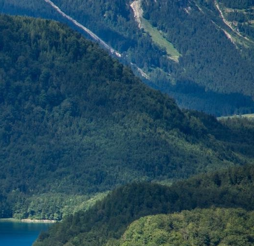 清远粉象生活收入