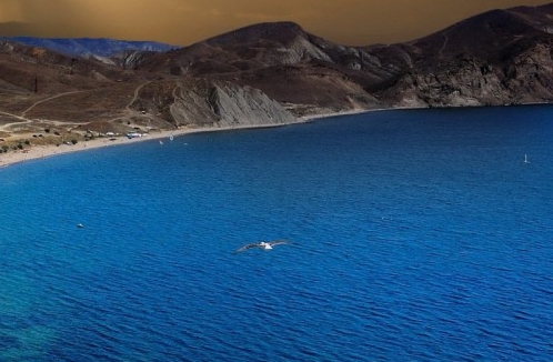 粉象生活是什么