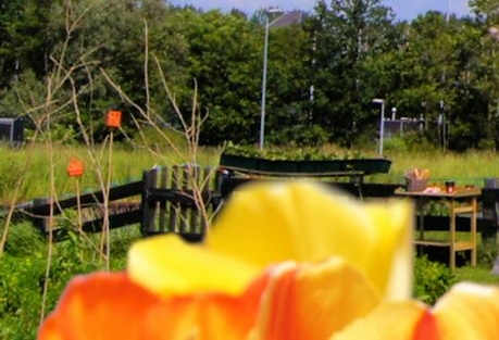 粉象生活可以赚钱吗