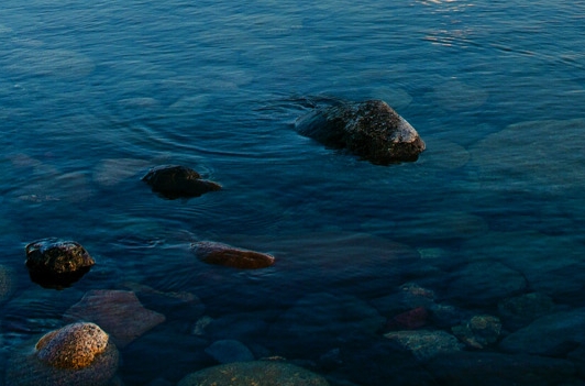 粉象生活小趣购