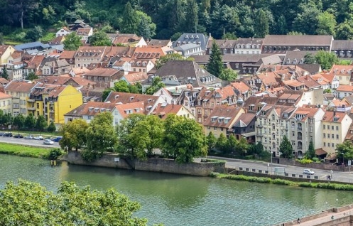 粉象生活下单得奖码页面