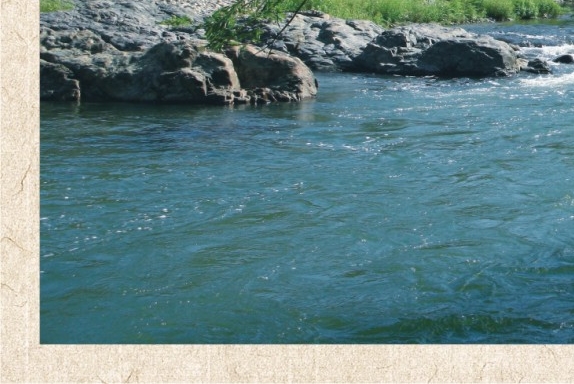 遂宁粉象生活app