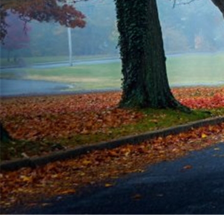 粉象生活怎么注册新号