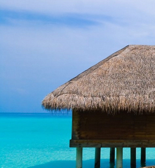 吴国星粉象生活