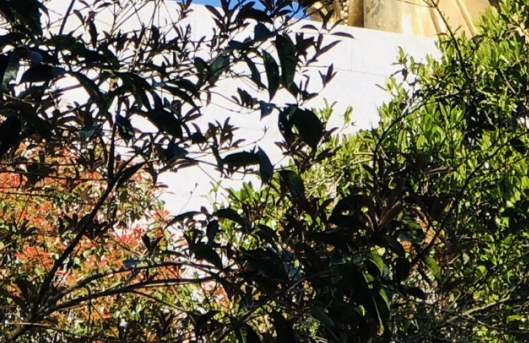 粉象生活买的东西在哪里找