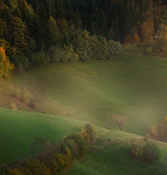 粉象生活能赚到钱吗