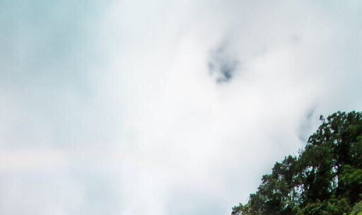 粉象生活为什么要20个合伙人