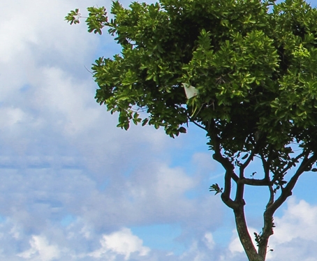 吉林品质粉象生活赚钱么