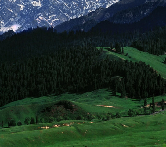 粉象生活如何推广