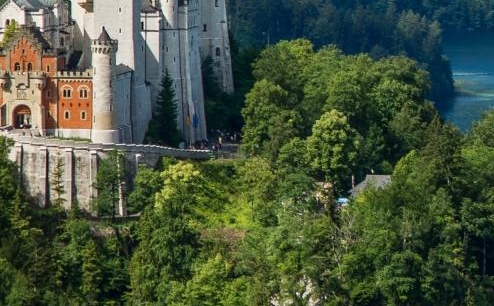 粉象生活大骗局