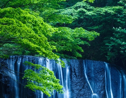 为什么粉象生活买东西便宜