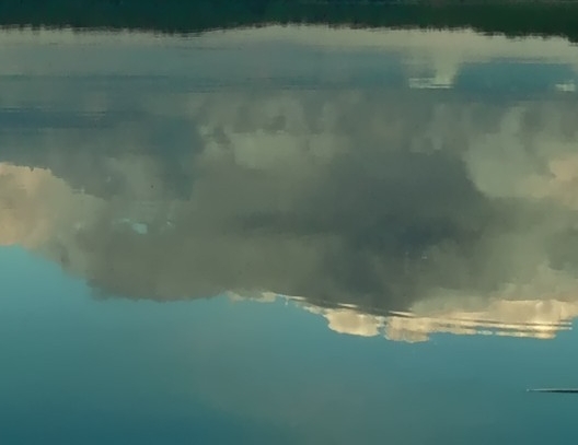 粉象生活优惠模式