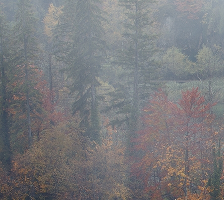 粉象生活下载安装