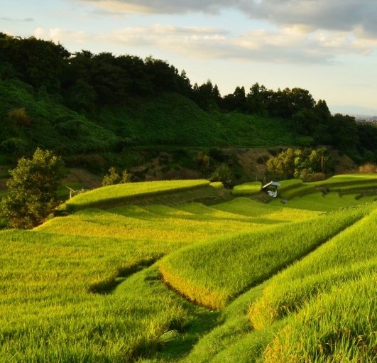 电脑版粉象生活