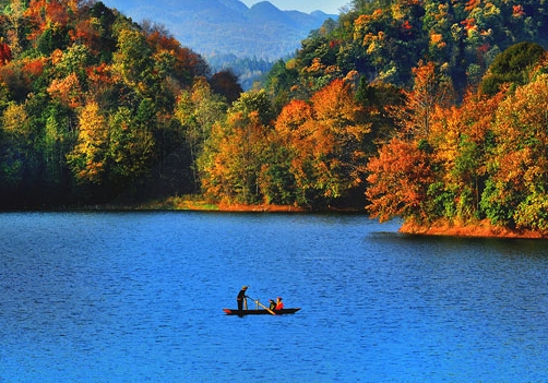 粉象生活代理商入驻费用