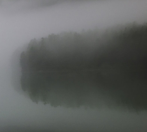 粉象生活购物能提现吗