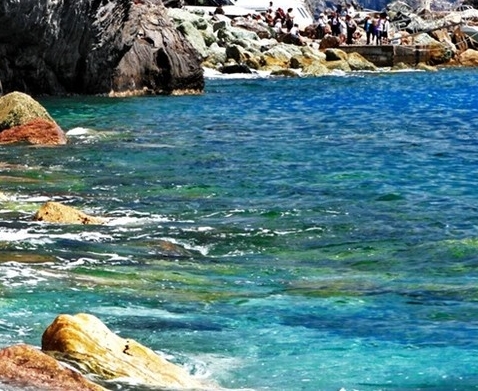 粉象生活可以赚钱吗