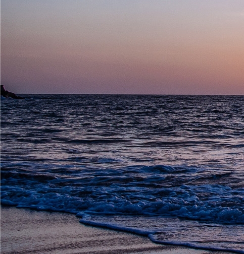 粉象生活是什么样的平台