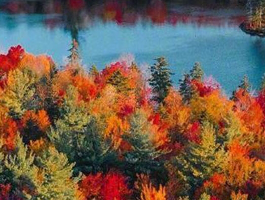 保定短视频加粉推广