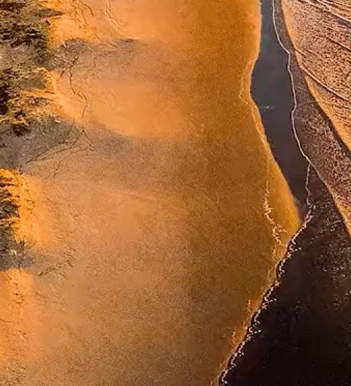 粉象生活邀请码