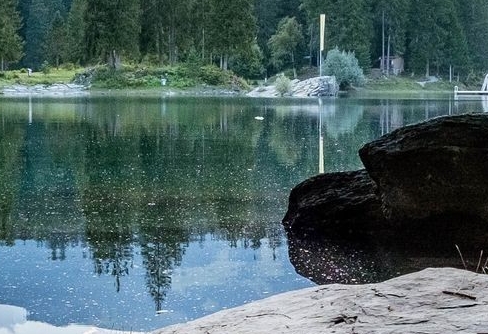 粉象生活公司简介