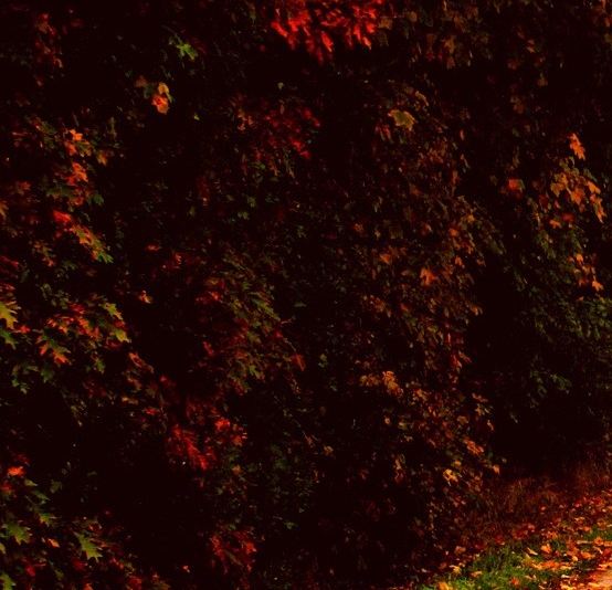 塘沽生活网最新招聘