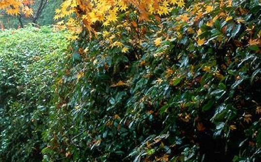 粉象生活没有粉丝能赚钱吗