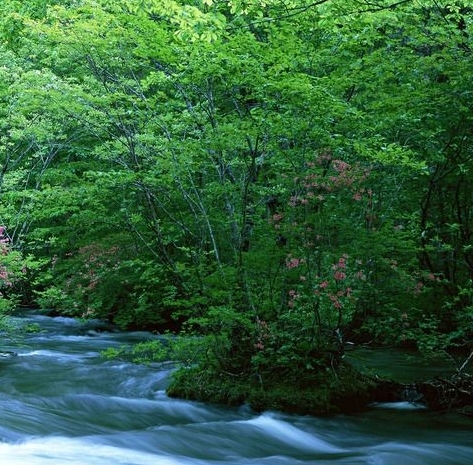 粉象生活可以赚钱吗