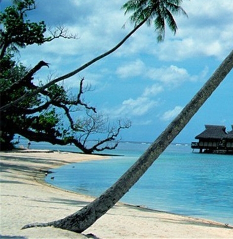 浙江台州的社保