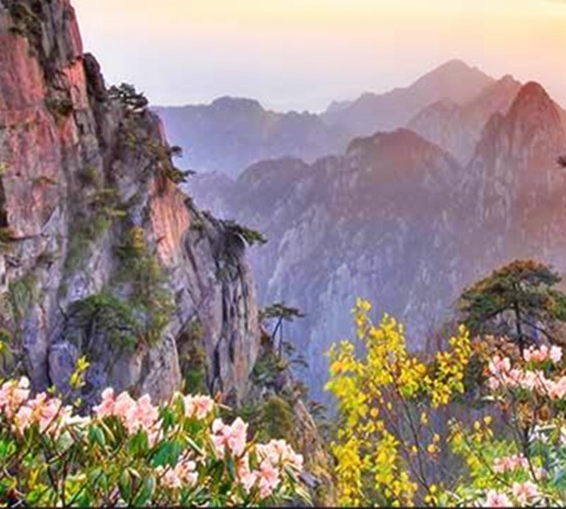 粉象生活如何做淘宝店