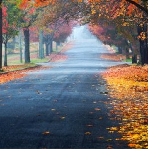 粉象生活邀请码填谁的,谁就可以赚钱吗