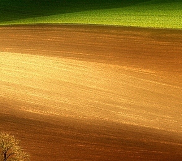 惠州粉象生活图片