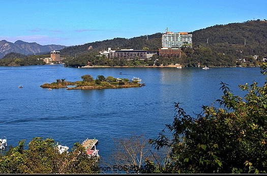 粉象生活买东西是正品吗