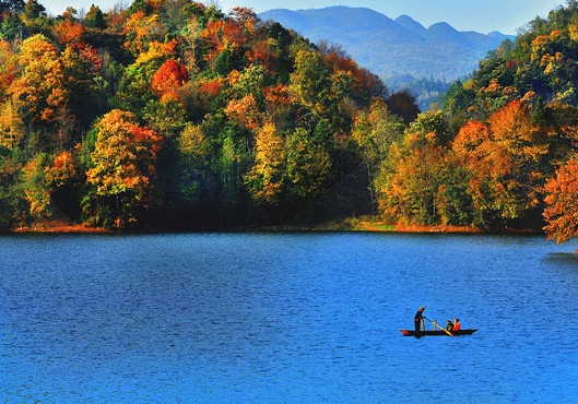 粉象生活是什么样的平台