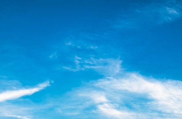 粉象生活是真的假的