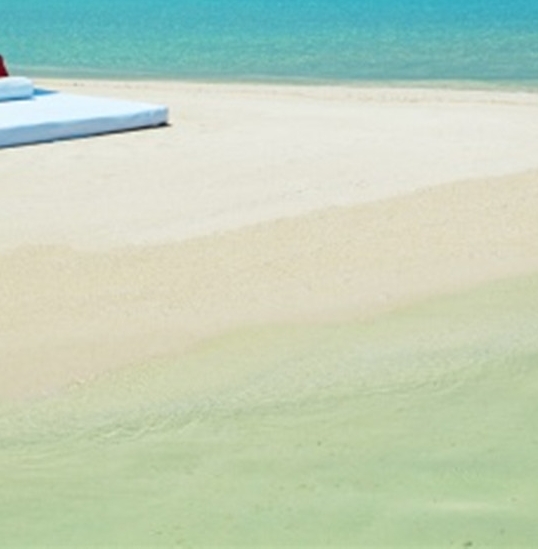 粉象生活能赚到钱吗