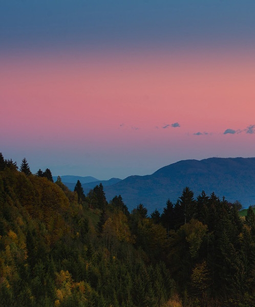 粉象生活是什么?
