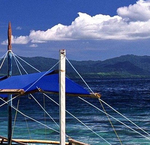 韶关粉象生活图片