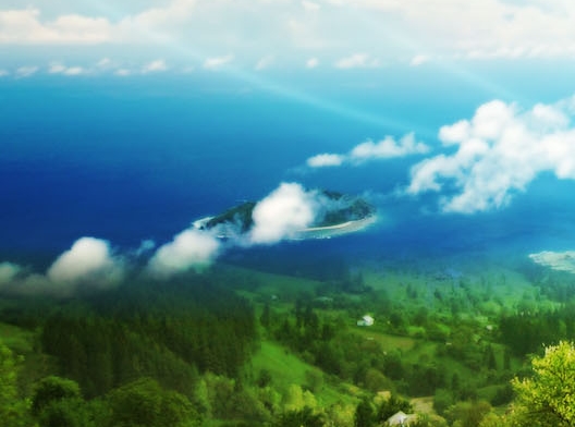 粉象生活怎么提现佣金