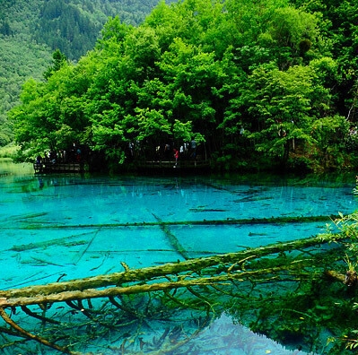 潍坊粉象生活电话