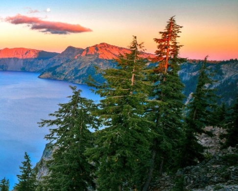 粉象生活下载app