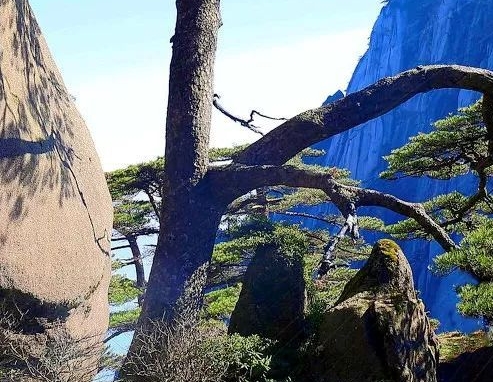 江苏高端粉象生活