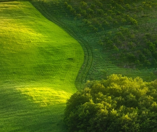 粉象生活属于哪家